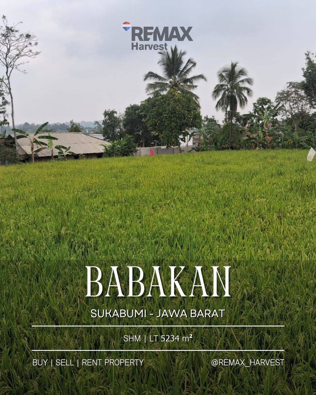 Tanah Sawah Babakan Sukabumi
